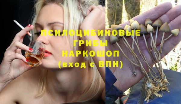дмт Бабаево